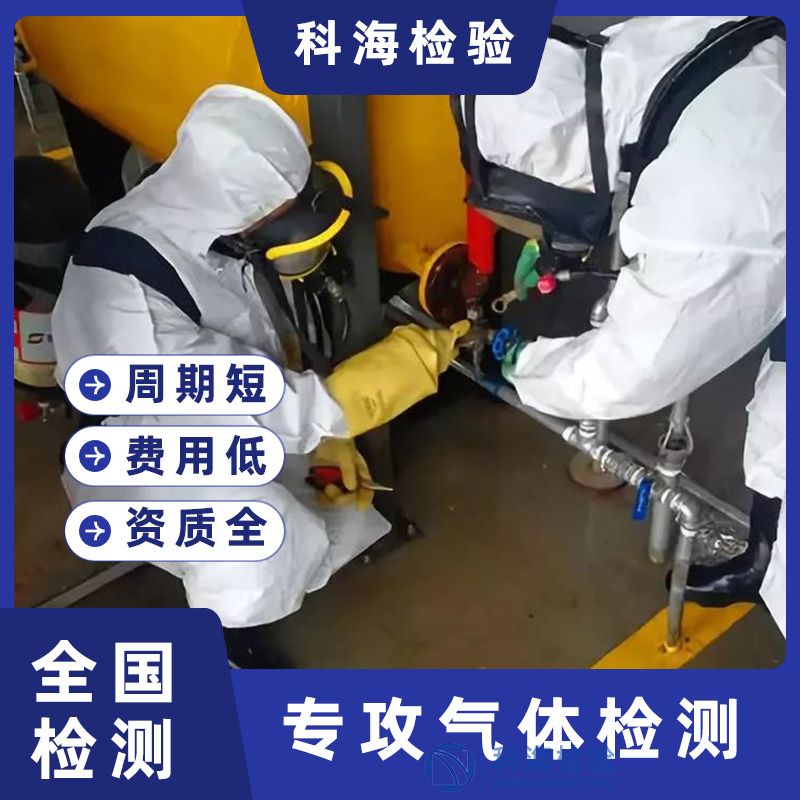 氨氣檢測(cè)